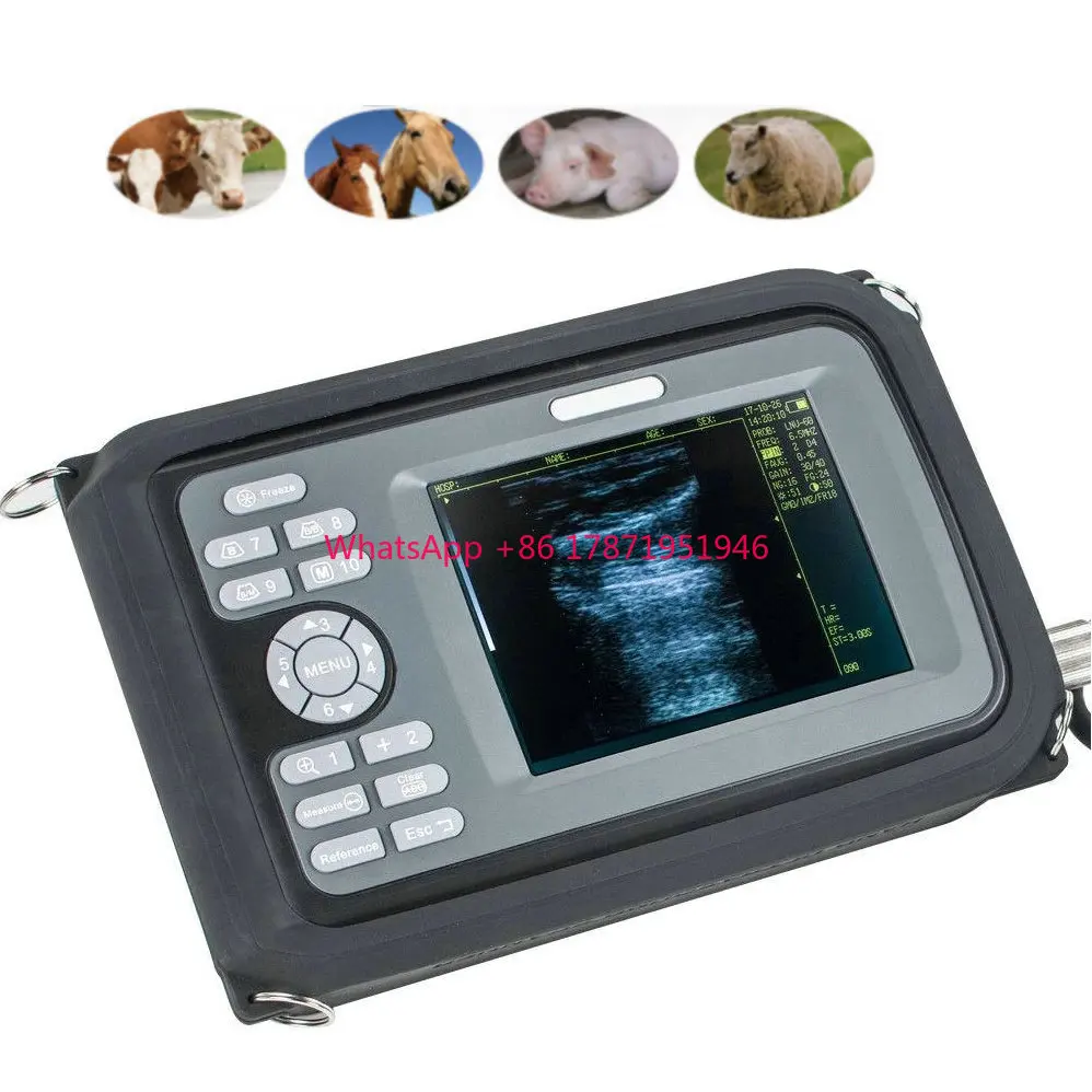 EUR PET Cheapest Veterinary Instrument Ultrasound Machine Veterinary Usb Ultrasound Handheld Scanner For Cow Sheep Dog