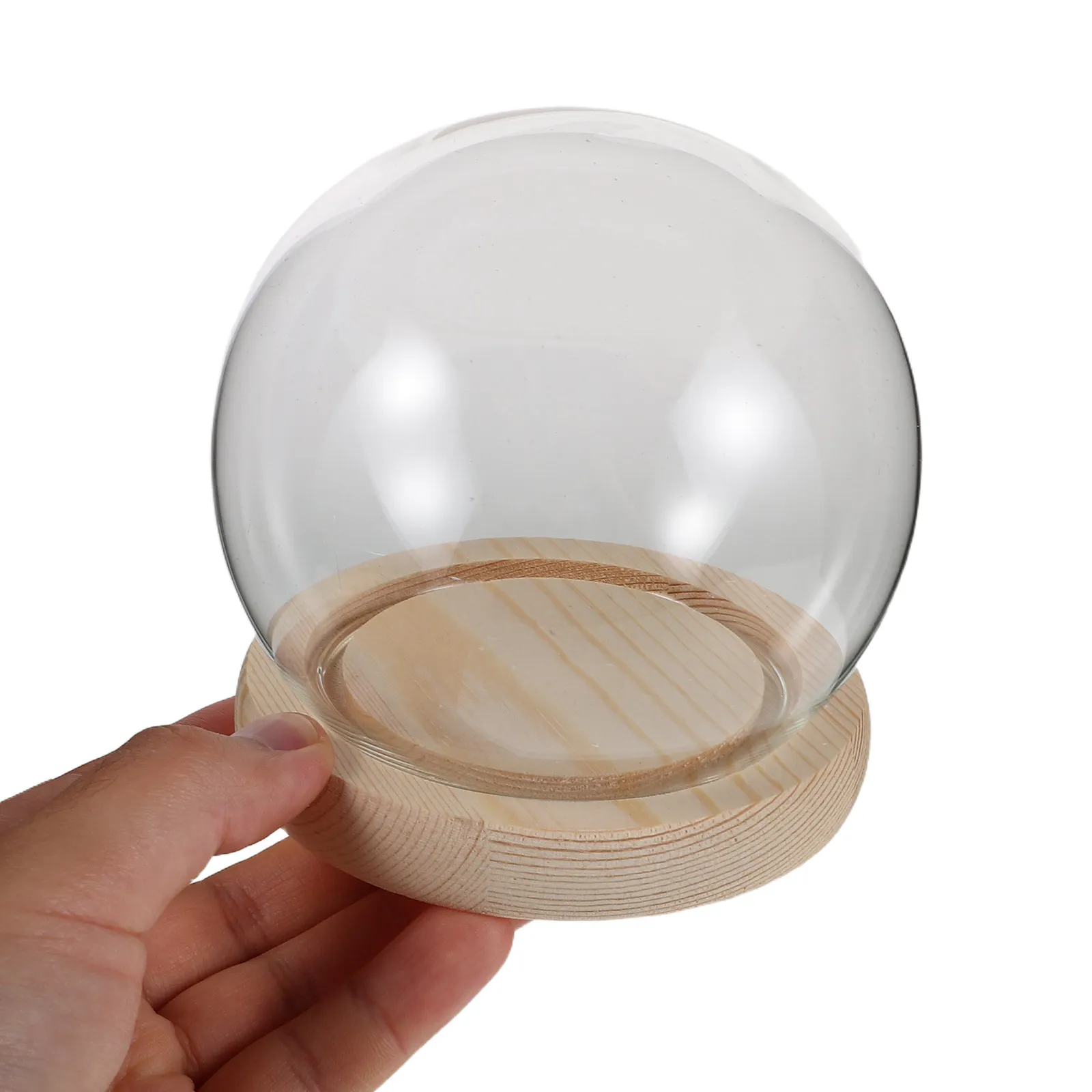 Round Glass Display Dome with Sturdy Base Dustproof Cloche Cover for Preserved Flowers Floral Decor