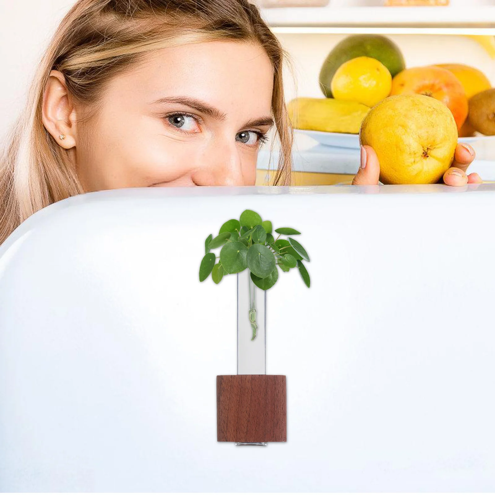 

Magnetic Test Tube Flower Vase Wooden Glass Mini Planter for Refrigerator Office Locker Kitchen Decorative Wall Magnet