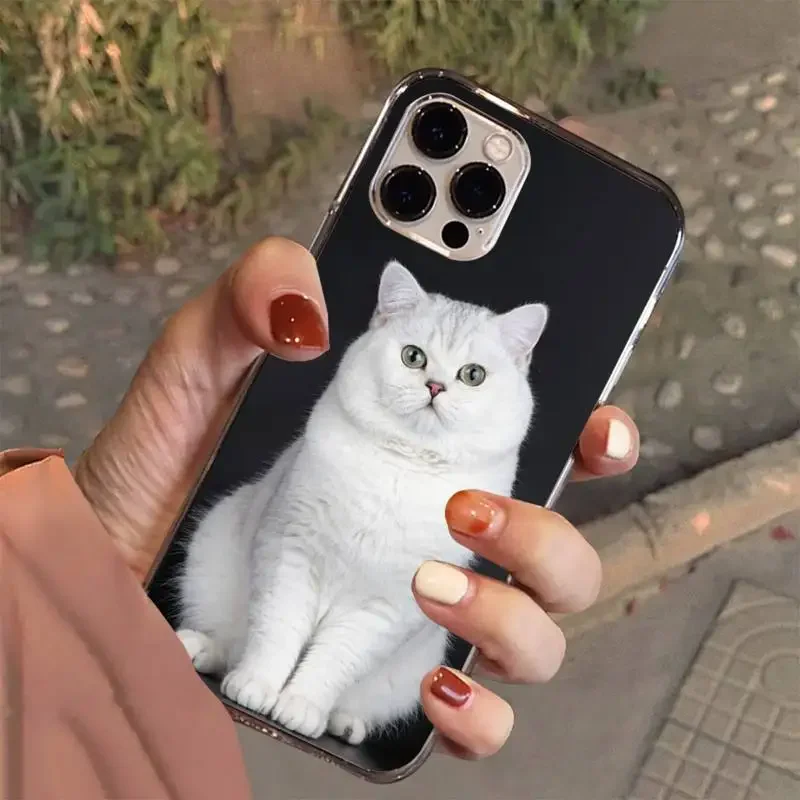 Custodia per telefono British Shorthair Cat per Iphone 7 8 Plus X Xr Xs 11 12 13 15 Mini Mobile Iphones 14 Pro Max Custodia