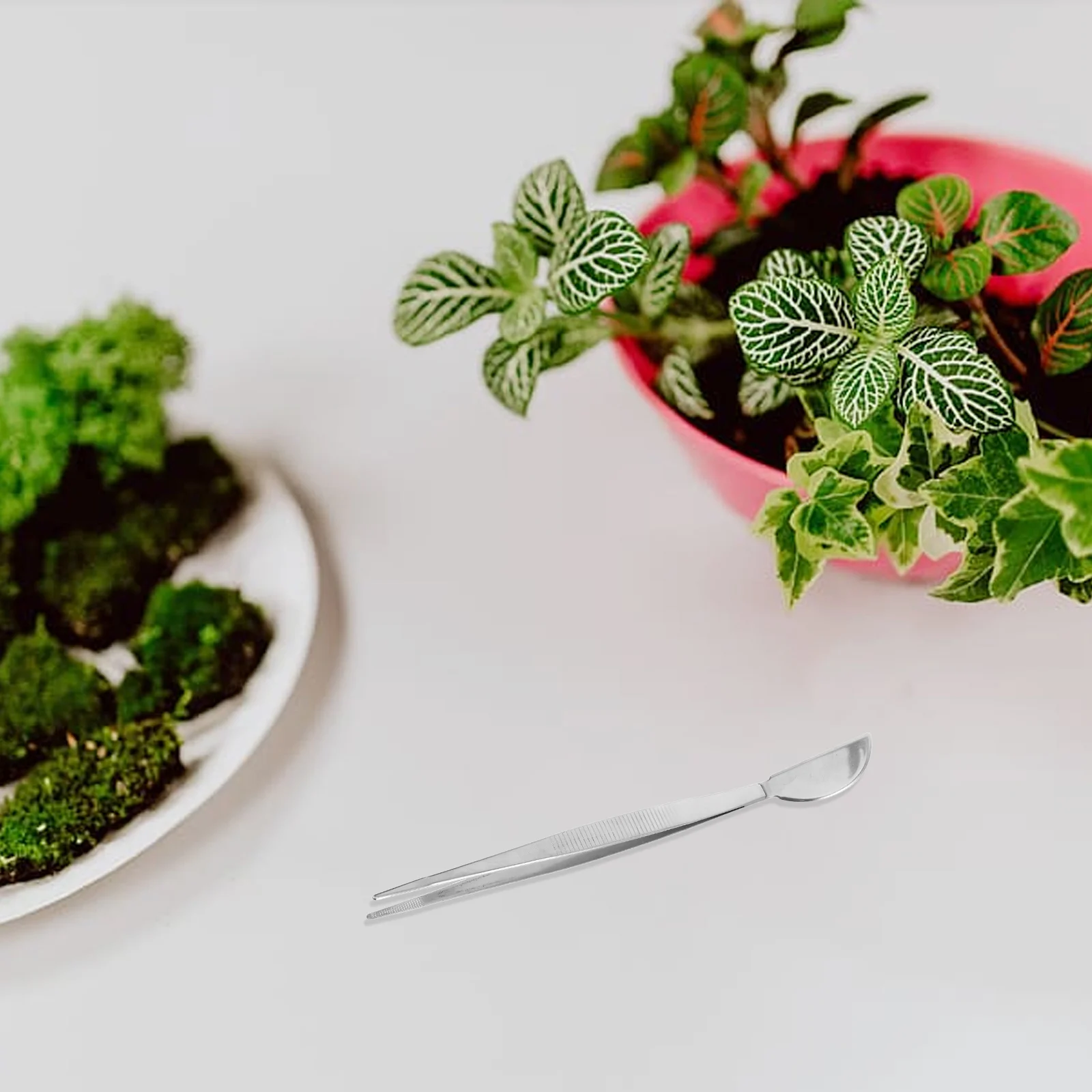 Pinzette per bonsai Manico lungo Rastrello per lavorazione in acciaio inossidabile Strumenti per lo styling Cura Punta fine Giardino Precisione dritta