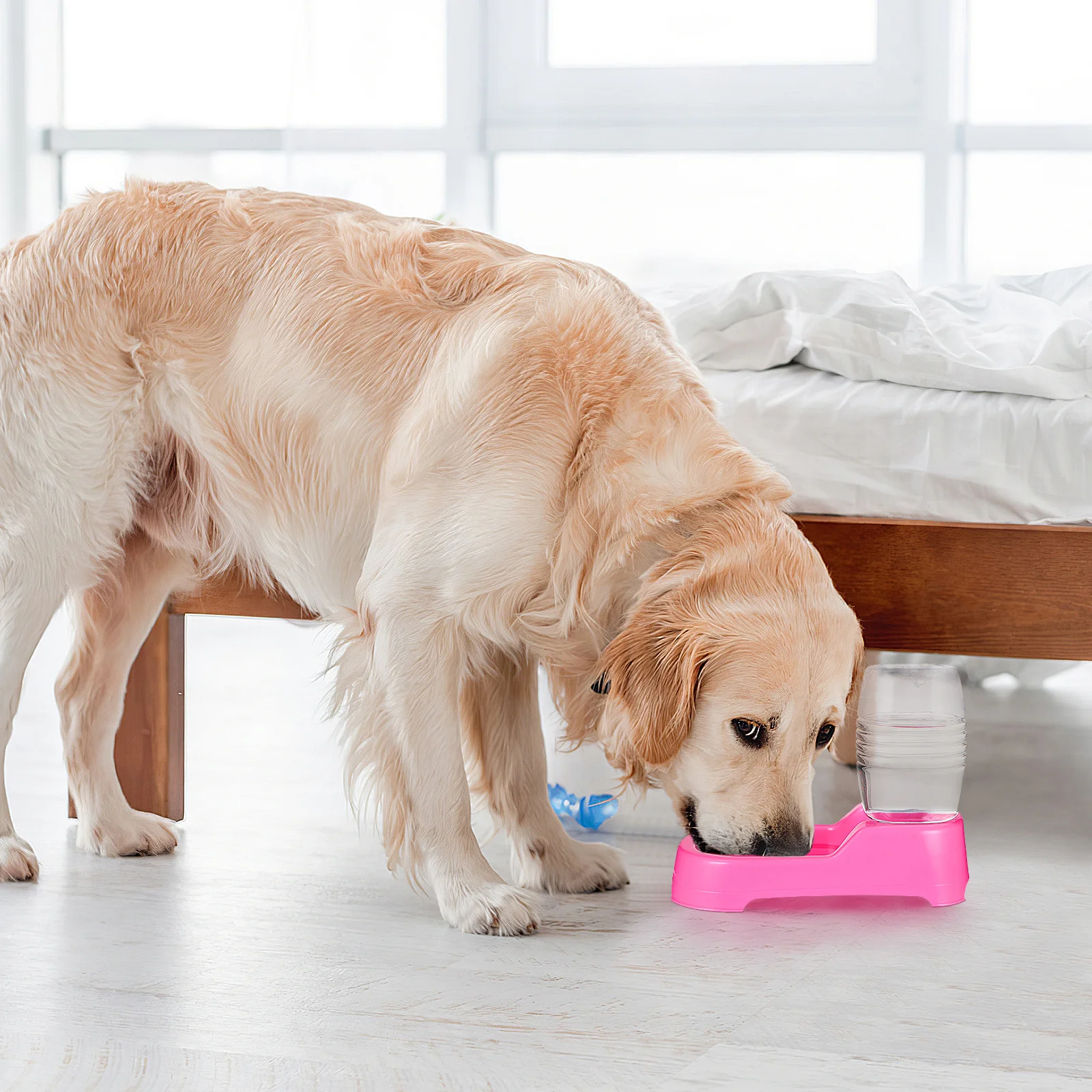 

Creative 500Ml Pet Drinking Bowl For Dog Puppy Water Feeder Anti-Tip Non-Slip Automatic Dispenser Pet Feeding Supplies Pink