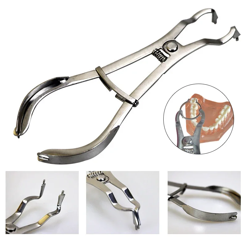 

Dental Sectional ContouredMetal Matrix Ring Spring Fixed Clip Stainless Steel Dentist Instrument Equipment
