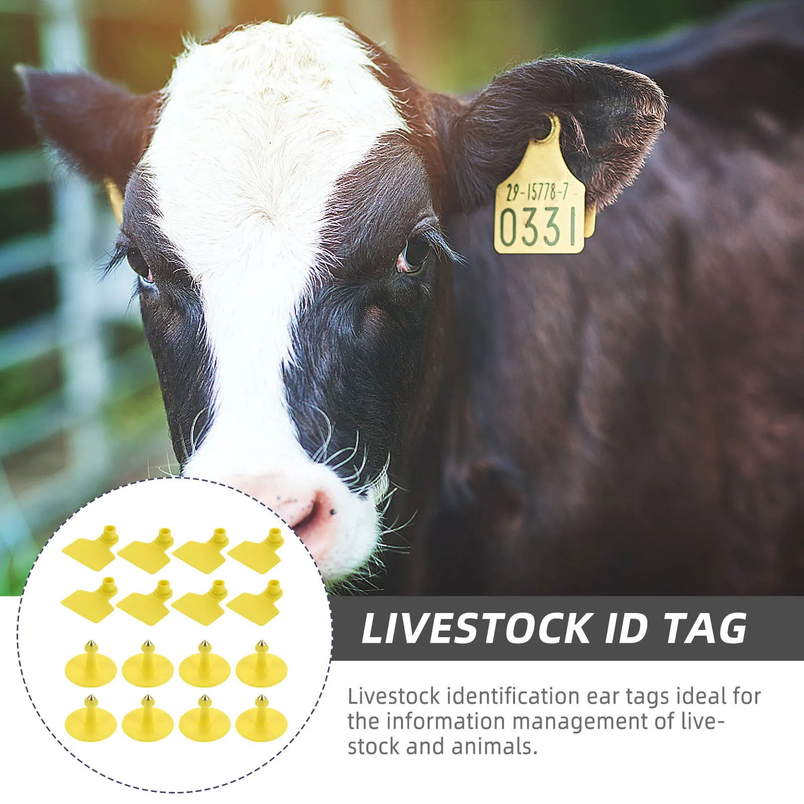 

100pcs Pig Ear Tags High Quality Tpu Durable Copper Head Studs Easy Use Livestock Management Farm Cattle Sheep Horse Ear Tags