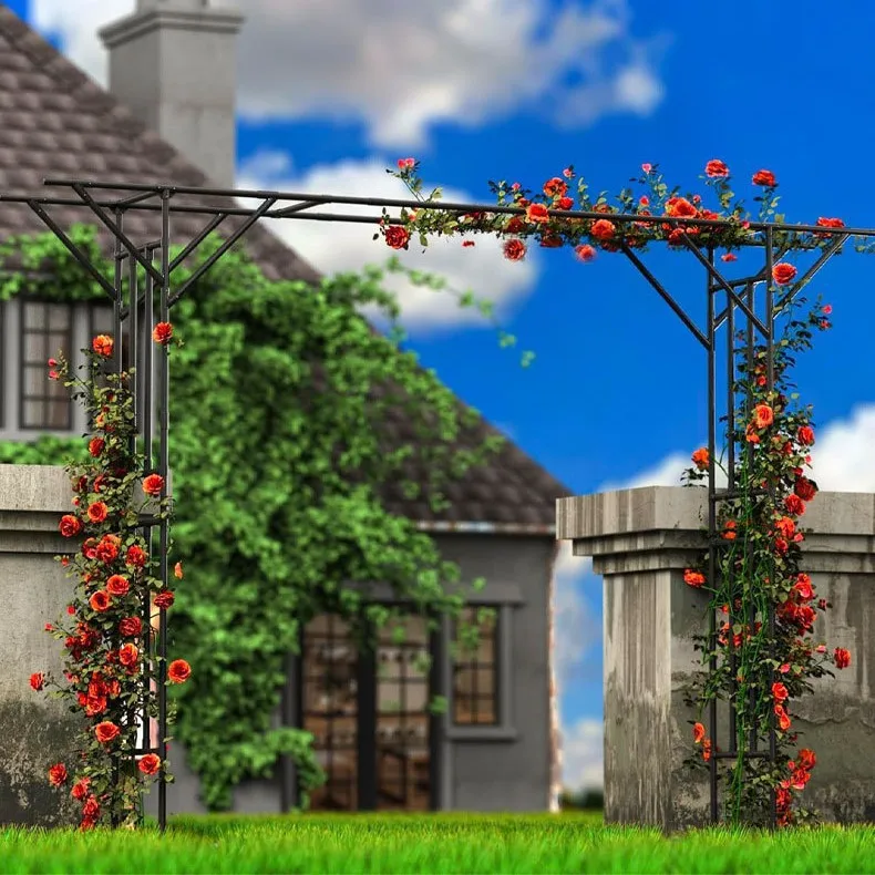 HYS grape rack bold special frame climbing vine frame courtyard outdoor outdoor rose loofah bracket gardening rack climbing