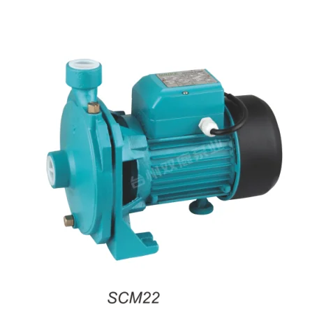 005 Bombas de agua centrífugas eléctricas estándar de 2 CV