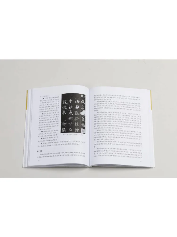 Book-Winshare Translation and Annotation Of Dongpo's Artistic Theory