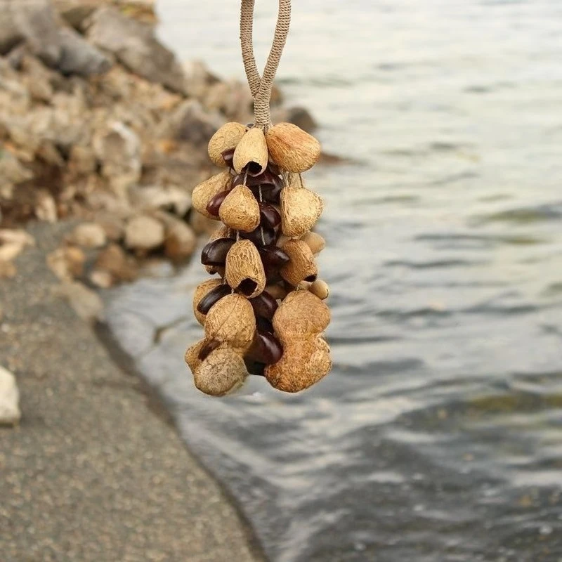 

Fruit Shell Wind Chime Meditation Yoga Wind Chime Professional Sound Healing Hand Bells Outdoor Diapason Percussion Instruments