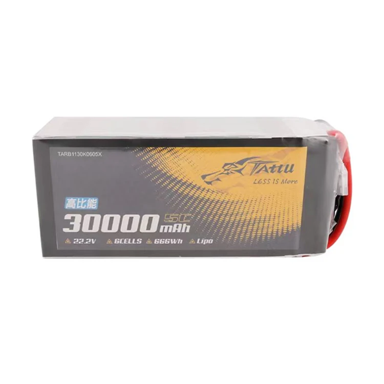 2024 Hot Sale Tattu…