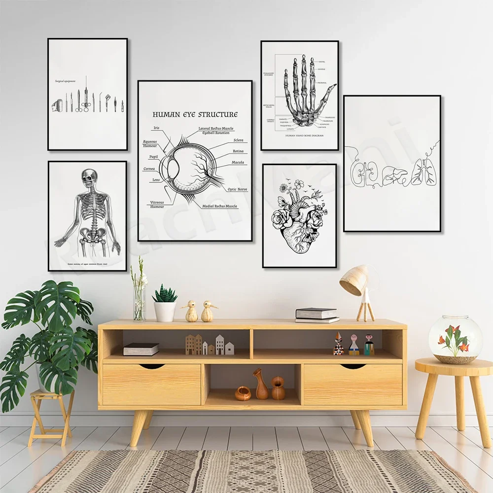 Minimalist human lungs, heart, internal organs, sketch line art of human eye structure, medical instruments, anatomy poster,