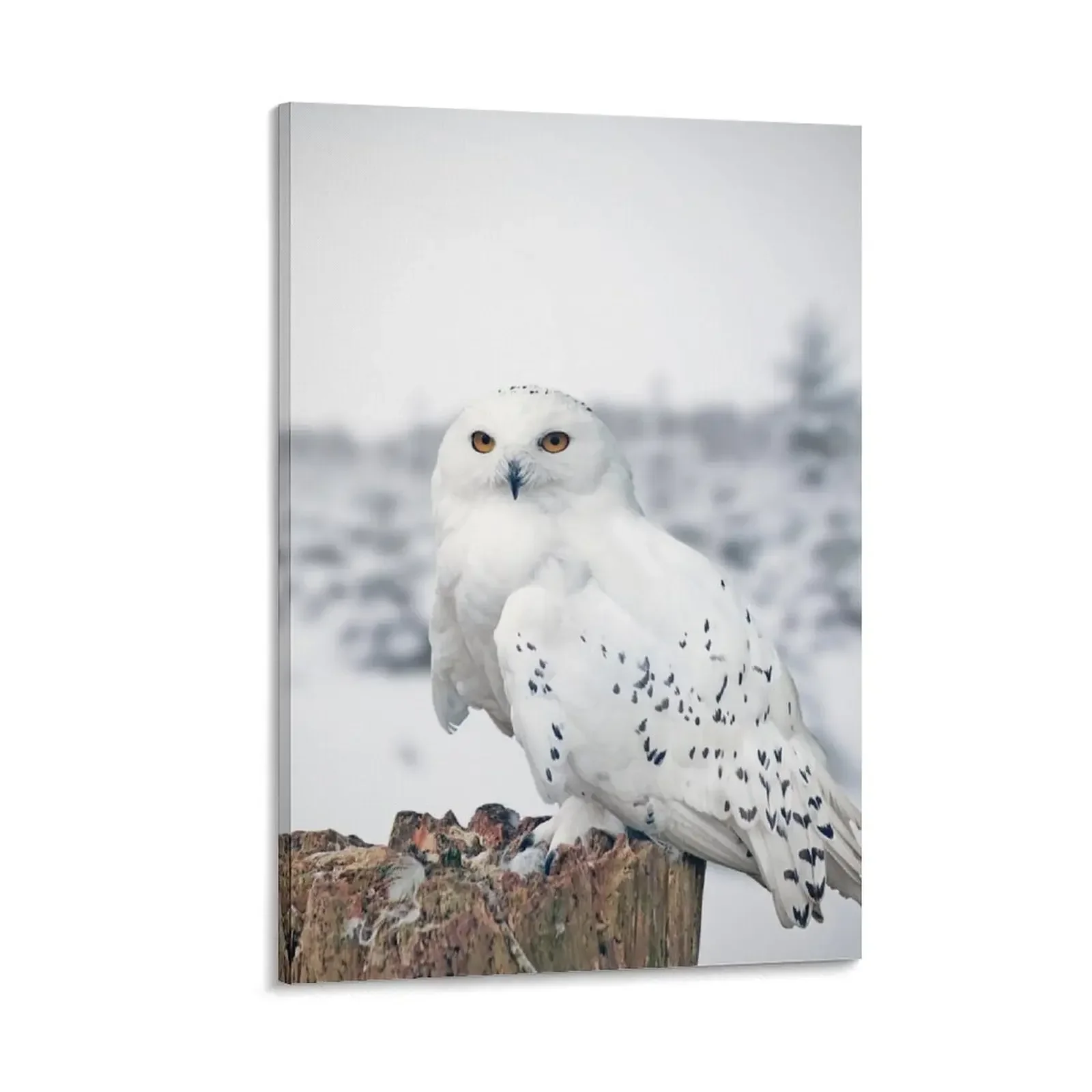 

owl in the snow Canvas Painting korean room decor art mural poster mural canvas wall decoration