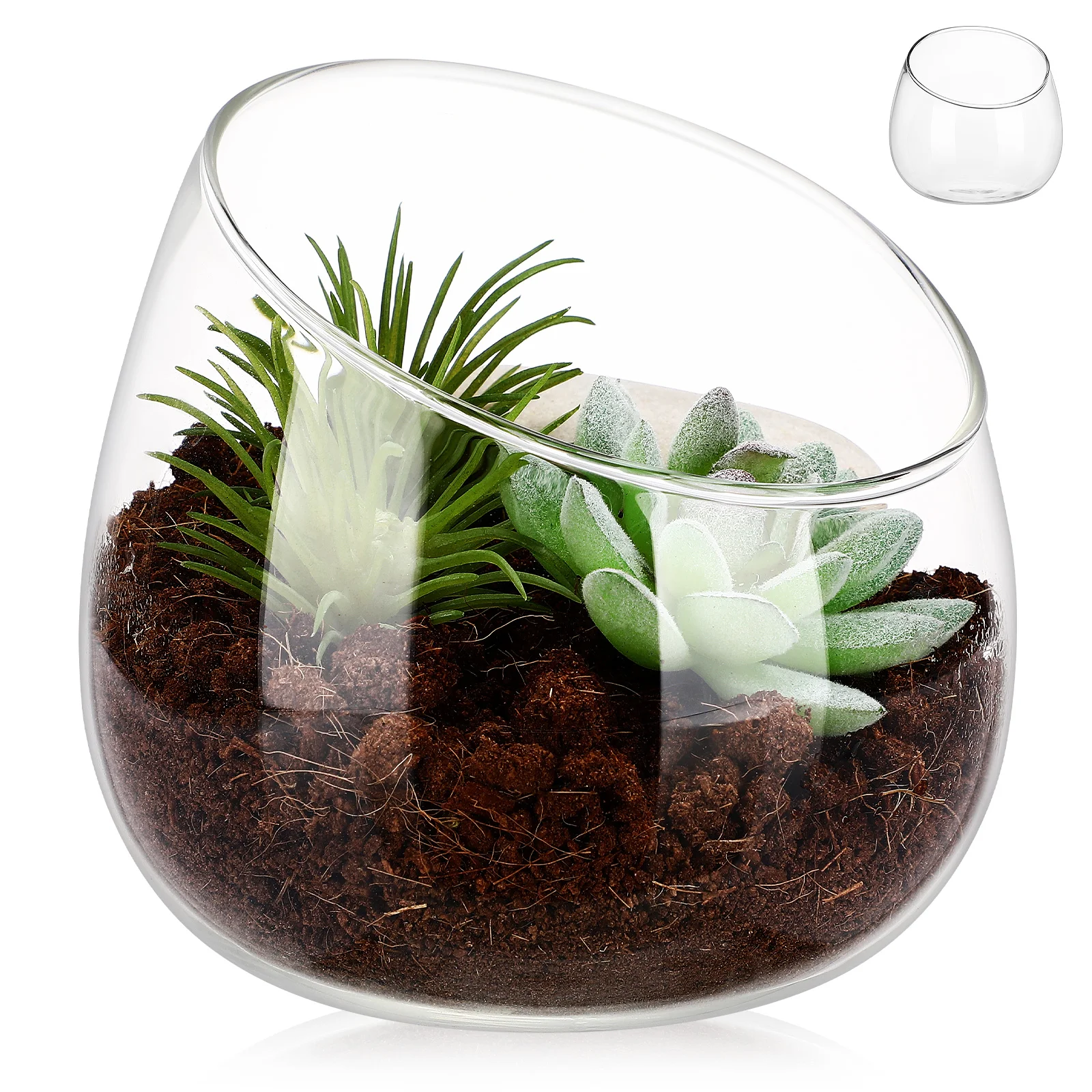 Clear Glass Vase Unique Slanted Mouth Design for Succulents Moss Plants Small Round Planter Pot Desk Bookshelf Decor Indoor