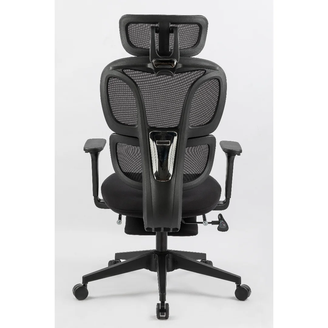Ergonomic Office Chair with Foot Rest, High Back Computer Chair with Dynamic Lumbar Support, 2D Headrest, 4D Armrests, Mesh Desk
