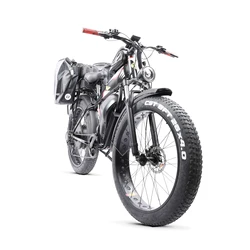 Custom 26inch Fat Snow tire ebike 1500W 48V 70ah  Large capacity  Li-ion battery electric long-distance cycling bicycle