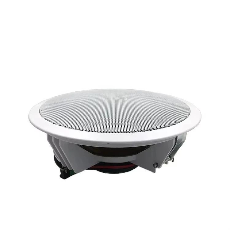 8-inch Active Ceiling Speaker Box Sonidos 12 to 15V Wireless BT5.0 Amp Module + Party Passive Speaker 6.5 Wireless Sonorisation