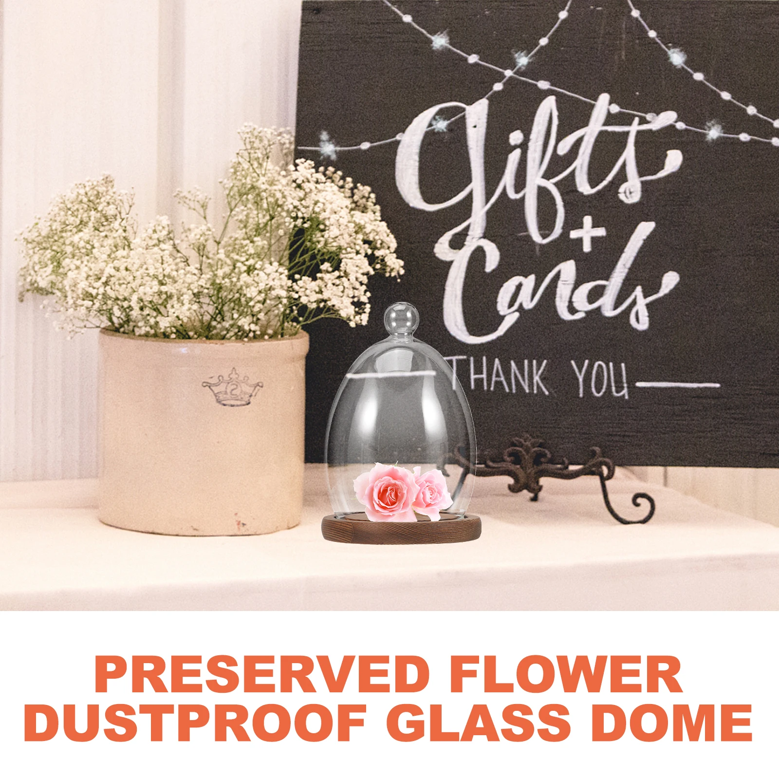 

Egg Shaped Clear Display Vase Wood Clear Glass Dome Preserved Flower Cover Base Decor Preserved Flower Micro Landscape Cover