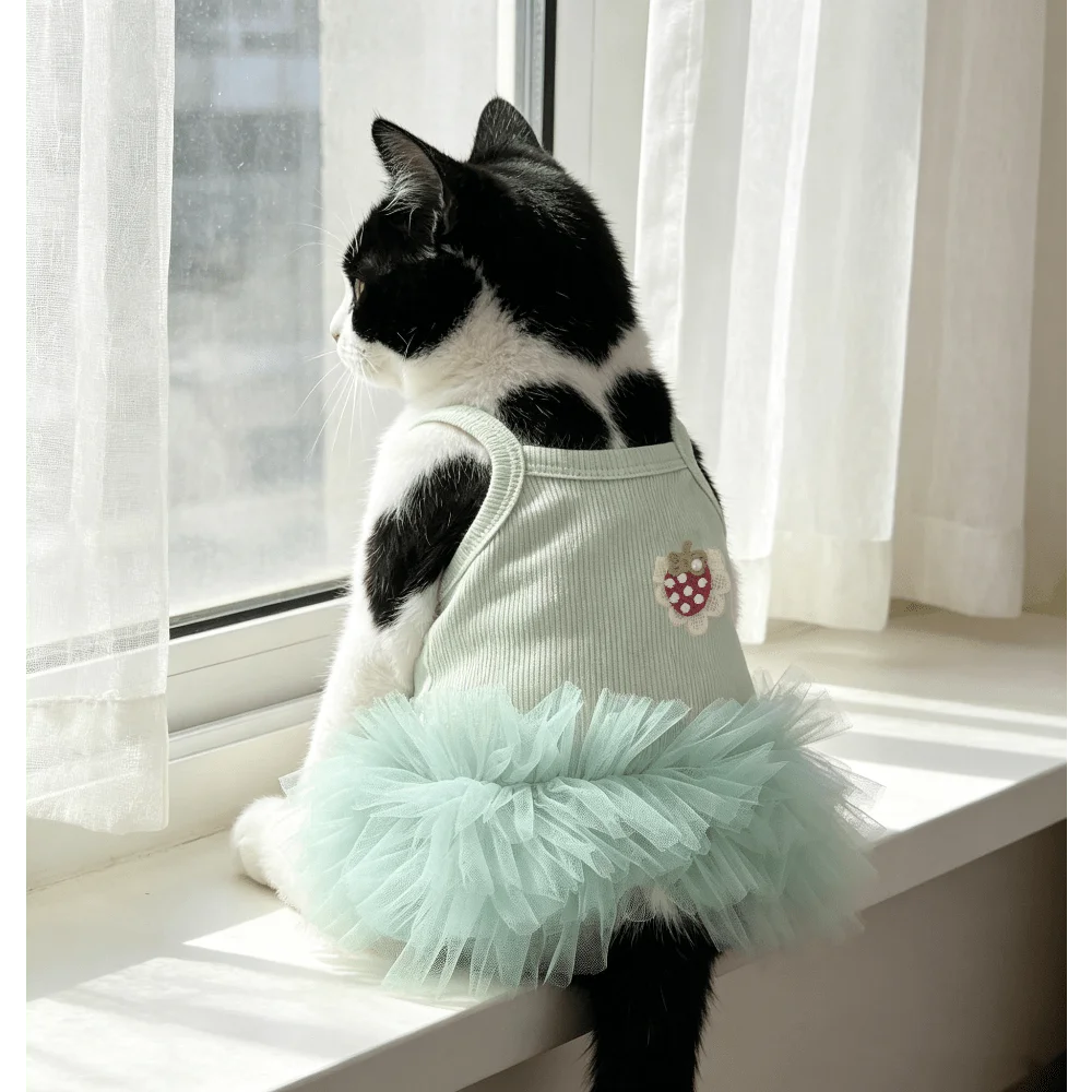 1PC Pet tutu dress, lace strawberry embroidered princess dress, breathable mesh skirt, cute daily wear for small dogs and cats