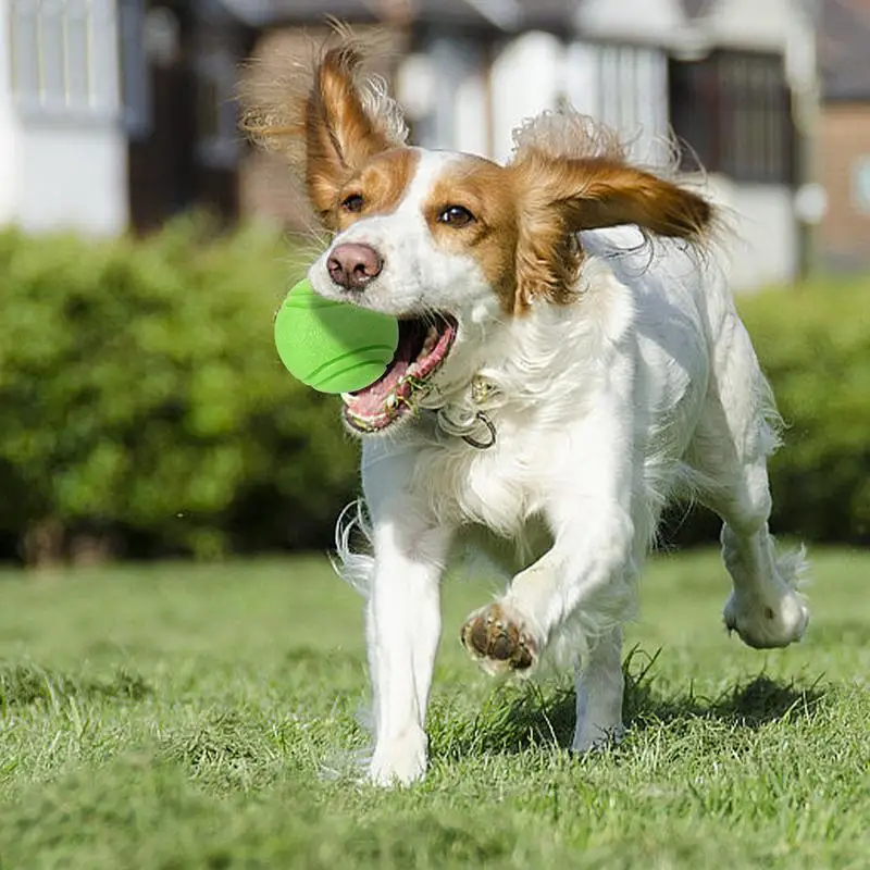 Interactive Dog  Chew Ball Rubber Dog Balls Bouncy Puppy Pet Solid Hard Play Ball Fun Fetch Chew Teeth Cleaning Snack Ball Toys