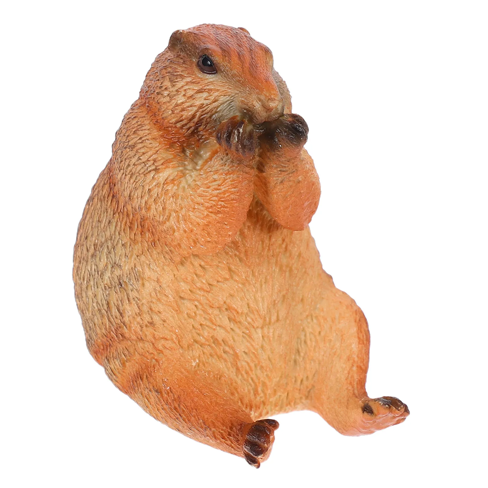 

Realistic Groundhog Simulation Wild Animal PVC Solid Sculpture for Home School Kindergarten Decoration Garden