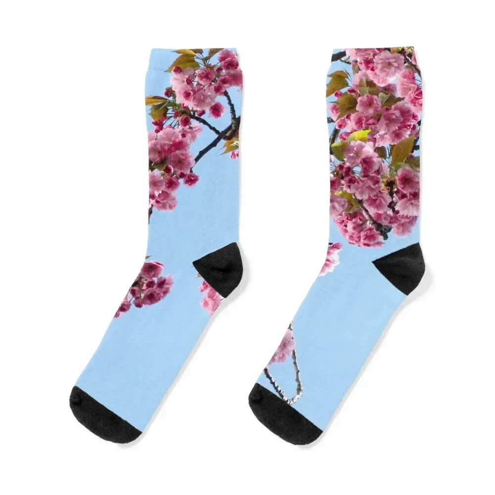 

pink flowers ( cherry blossum) Socks cartoon floral hiking sports stockings Socks Girl Men's