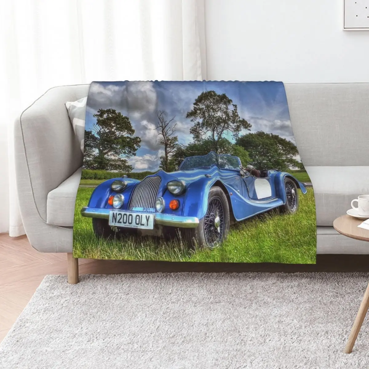 Morgan Convertible Throw Blanket Kid'S Hairy For Sofa Thin funny gift For Decorative Sofa Furrys Blankets