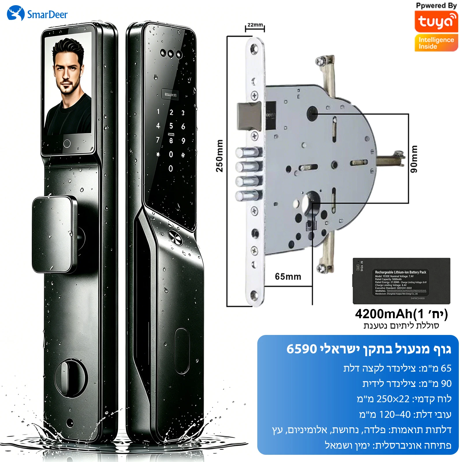 SmarDeer 6590 Israëlische standaard insteekslot, Tuya WiFi 3D Face Palm Vein Lock, IP66 waterdicht, Hebreeuwse ondersteuning