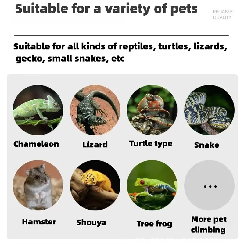 Reptile Cage Reptile Tank Portable Breeding Box Reptiles Habitat Air Screen Cages for Frog Pet Transport Bearded Dragon Turtles