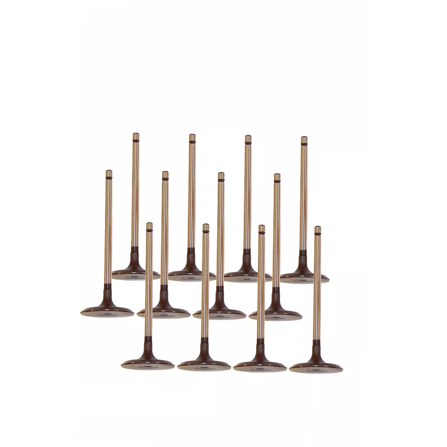 For Lexus ES350 RX350 Toyota Avalon  Camry Rav4 Sienna Venza Highlander 3.5L 2GRFE Intake & Exhaust Valve Kit