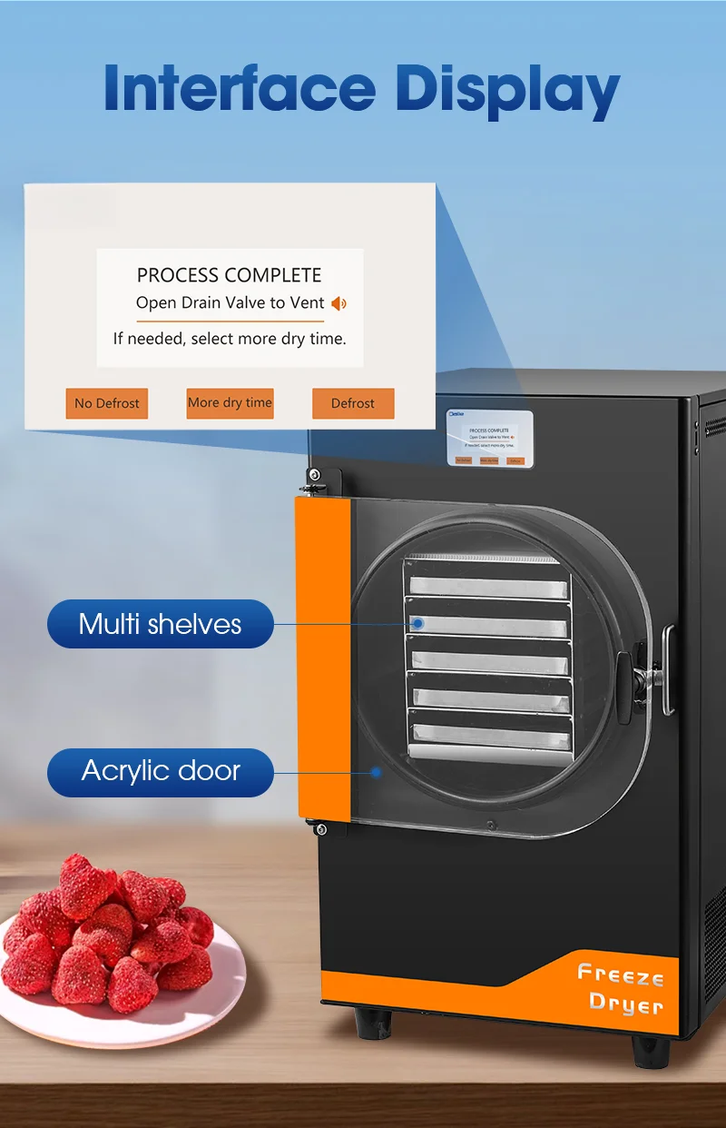 Commercial And Household Fruit Freeze Dryer Meat Vegetable Food Processing Electric Heating PLC Component