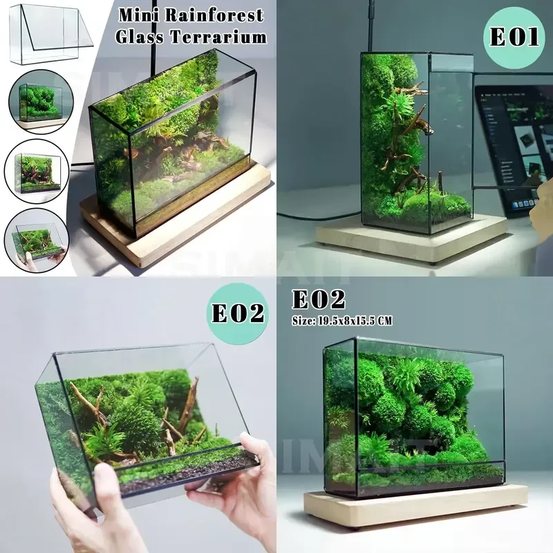 Geometric Square Glass Terrarium Mini Rainforest Moss Fern Miniature Landscape Tabletop Plant Vase Container