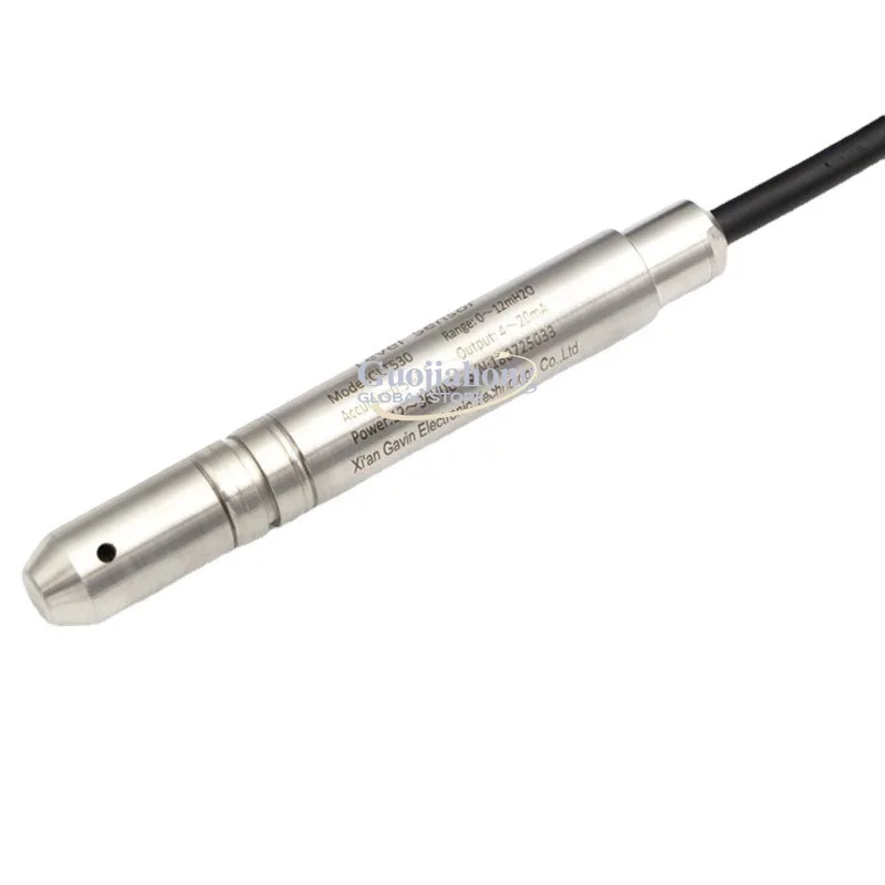 16Mm Small Diameter Stainless Steel Input Level Transmitter Level Sensor Deep Well Drilling Level Measurement