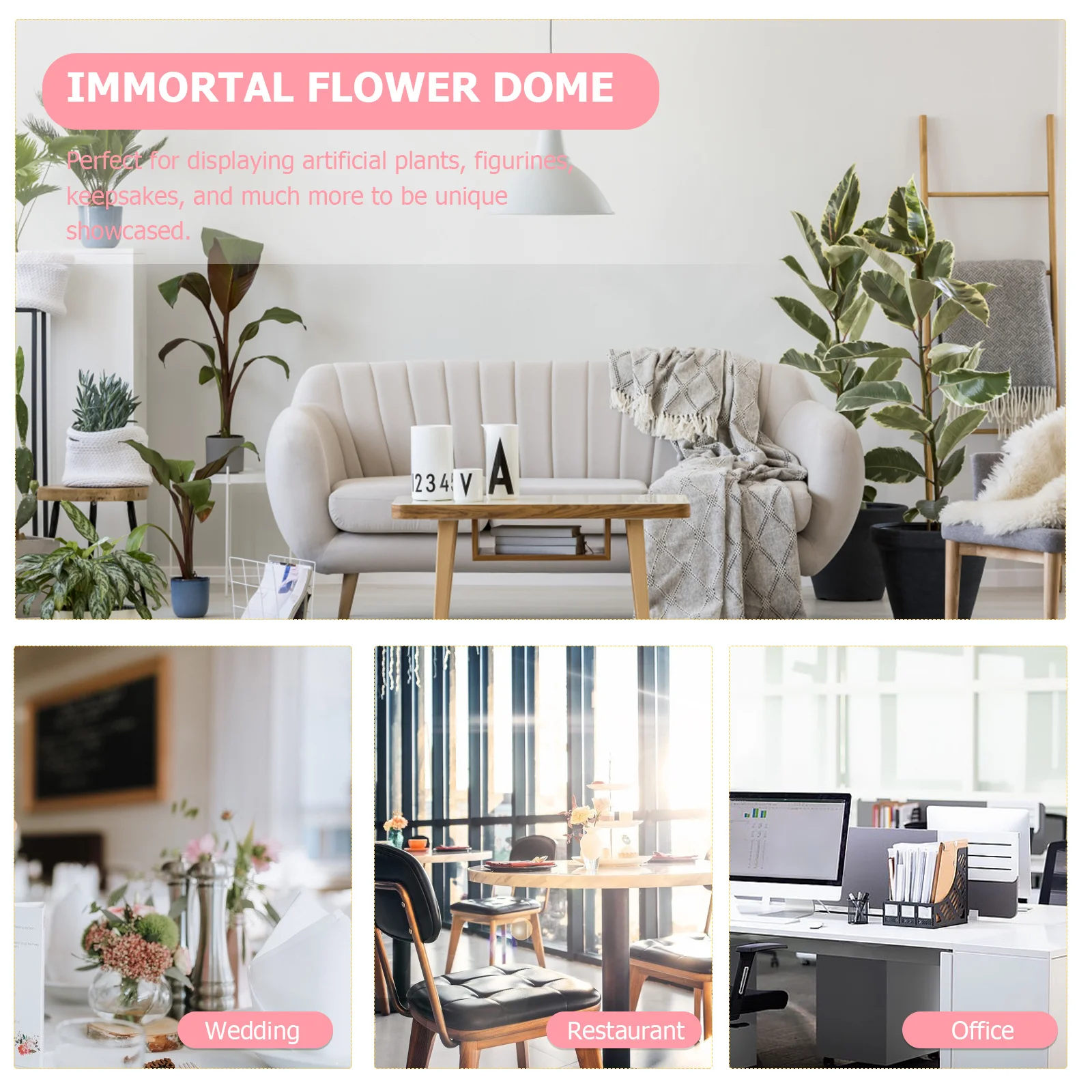 

Glass Dome with Wood Base Transparent Cover for Immortal Flower Display Decorative Adornment Shelf Tabletop Home Office