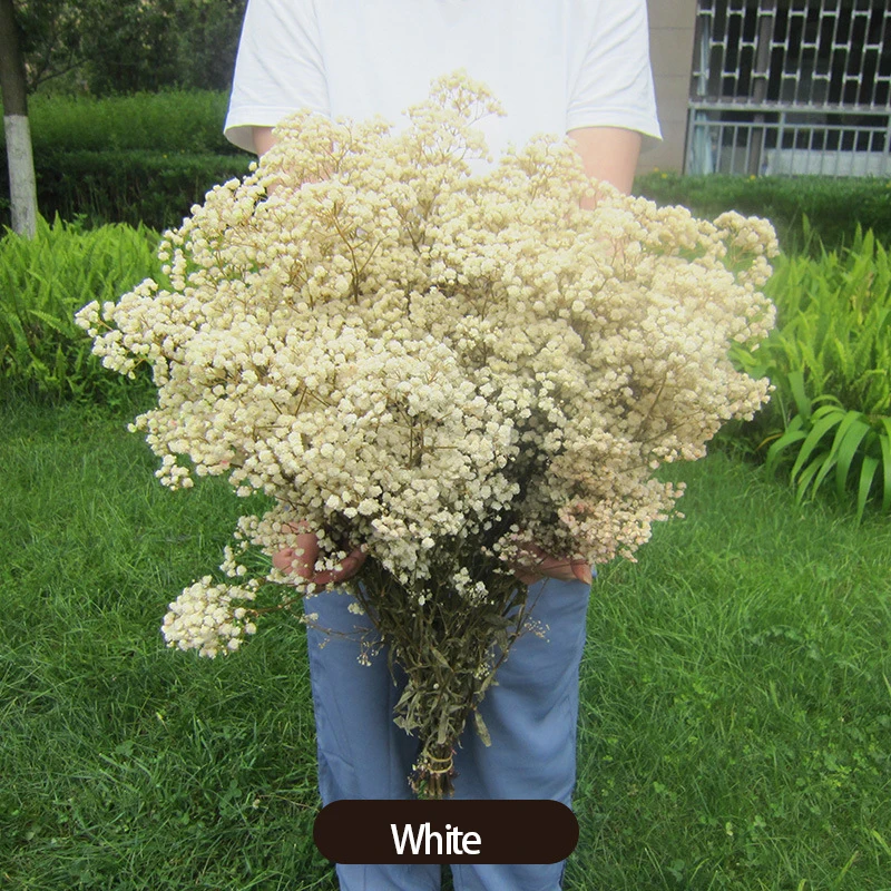 Natural Dried Flower Gypsophila DIY Flower Material Immortal Flower Living Room Christmas Home Decoration Ornaments