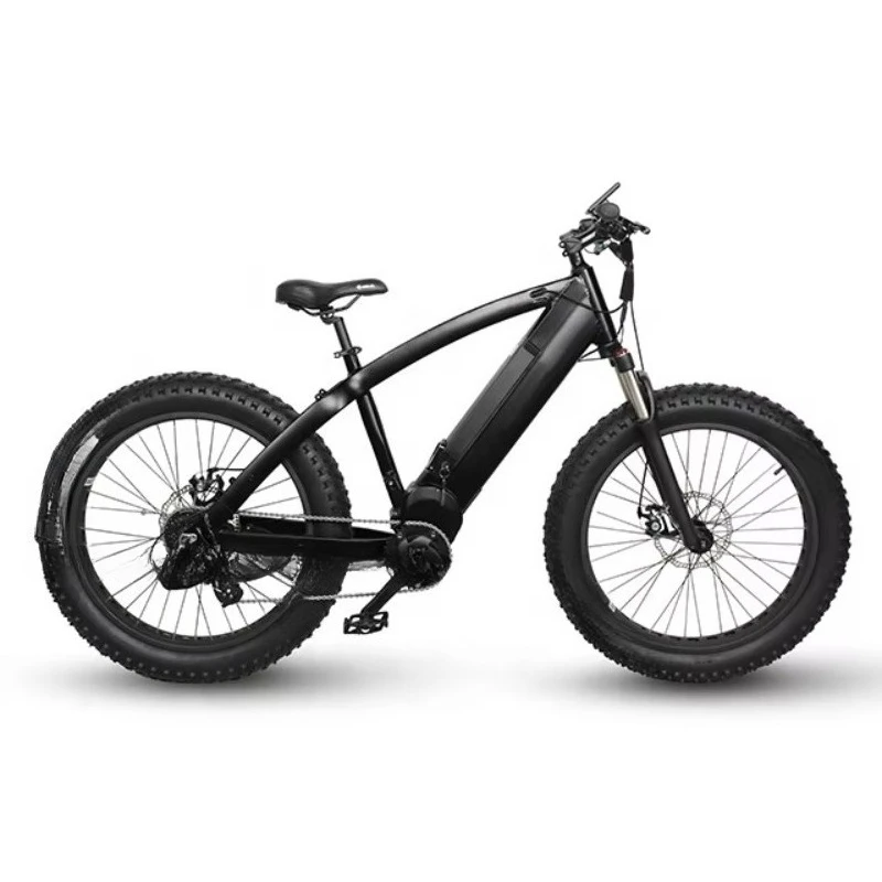 

SXLL 2023 electric city bicycle 48v electric mountain bike full suspension 14ah eight square 1000w m620 fat tire family electric