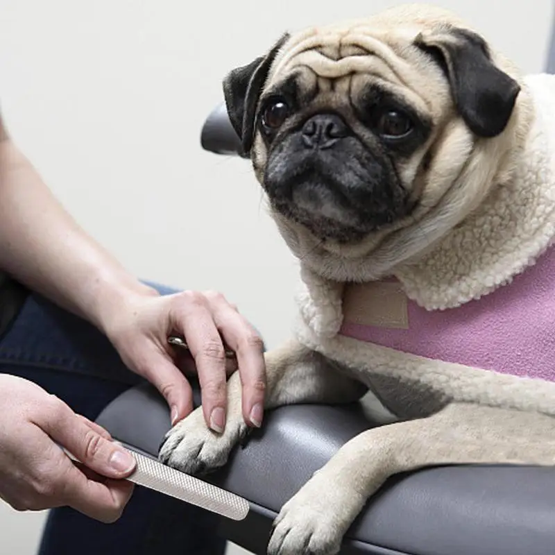 Lima de uñas para mascotas, resistente al desgaste y afilada, pequeña y portátil, adecuada para perros, gatos y otros mascotas pequeñas, molienda