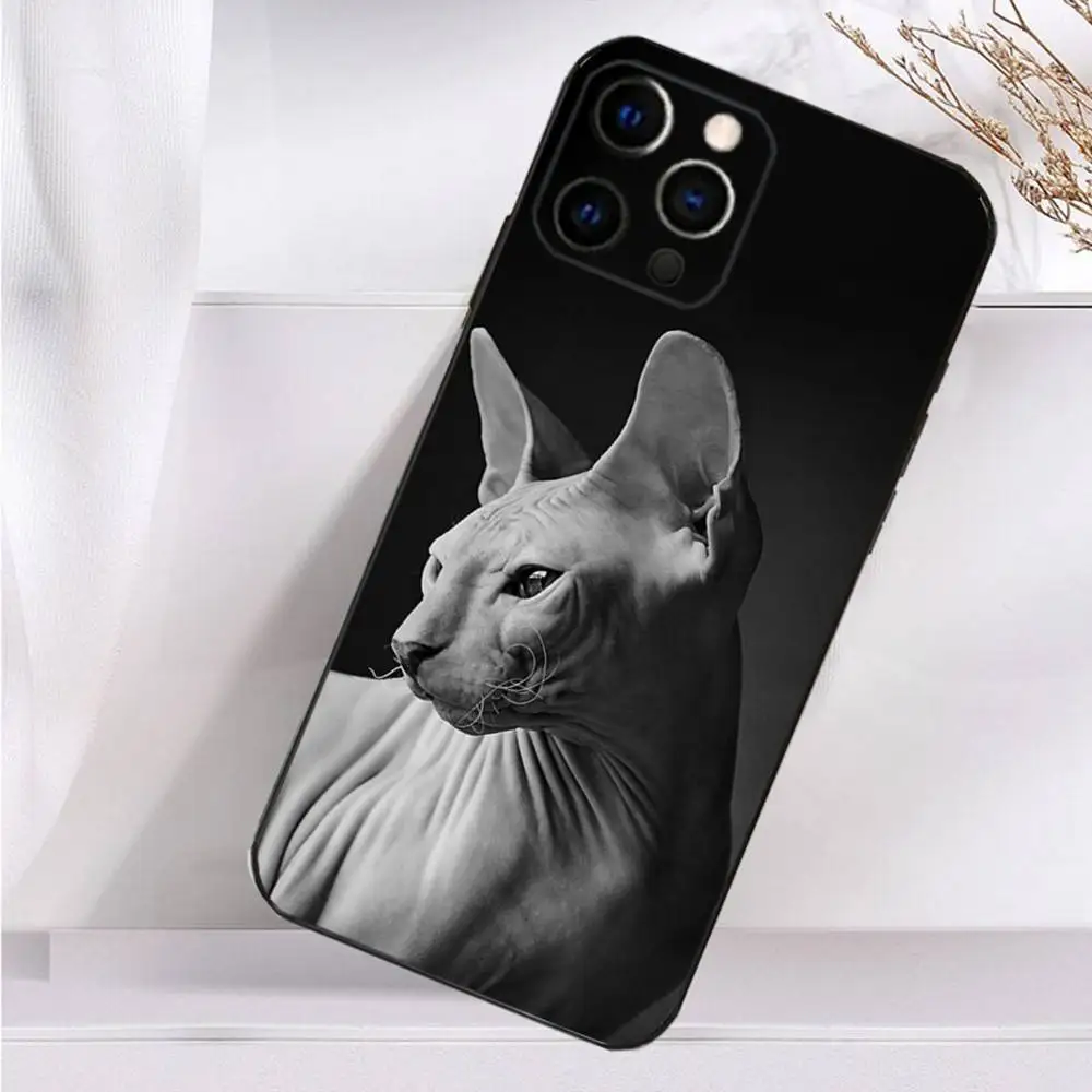 สัตว์เลี้ยงแมวSphynx Sphinxเคสโทรศัพท์สําหรับiPhone 16,15,14,13,12,11 Plus,Pro Max,XS,X,XR,SE,Mini,8,7 ซิลิโคนนุ่มปกสีดํา