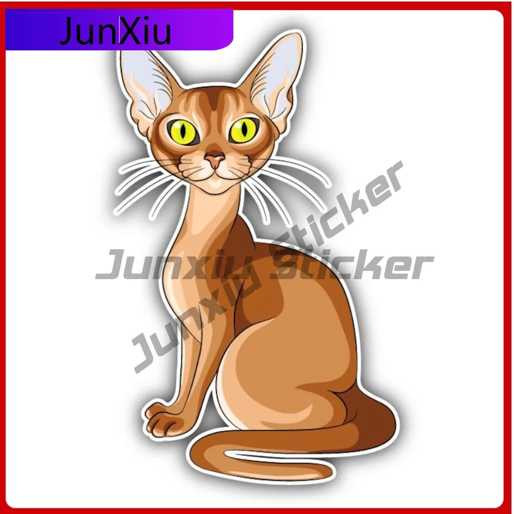 

Abyssinian Breed Cat Car Vinyl Sticker Scratch-proof Decal Accessories Bumper Luggage Kayak Suv Yz250x Decals Vintage Stickers