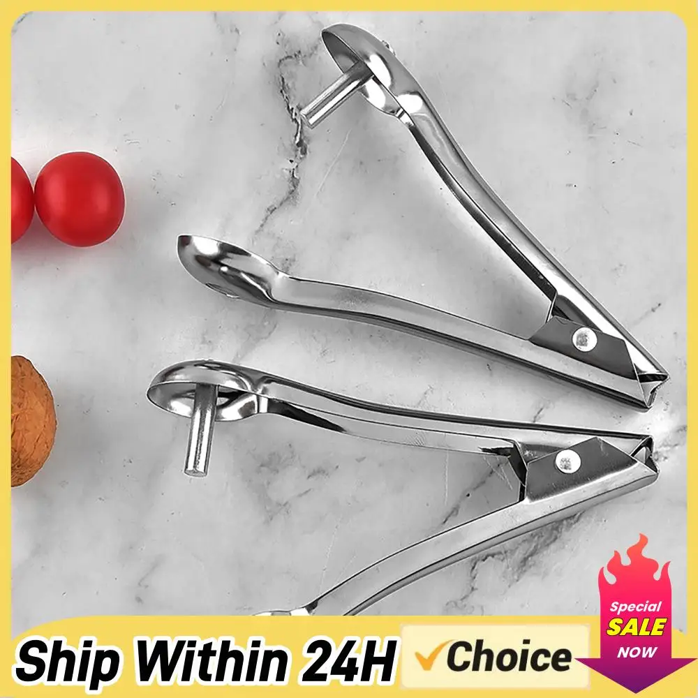 Cherry Pitter Tool - Stainless Steel Pitter Jujube Red Date Pit Core Remover