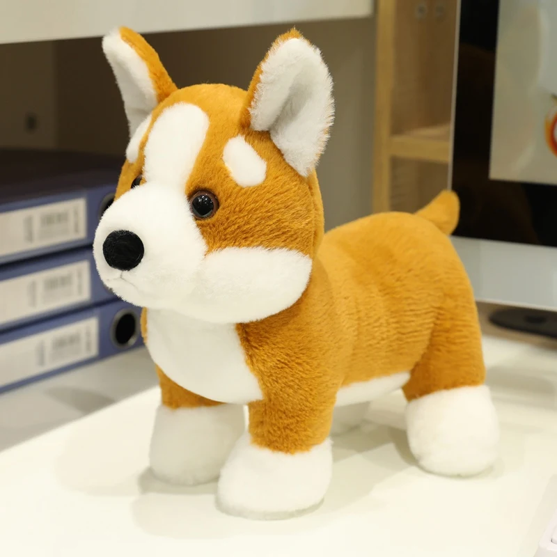25cm mignon Corgi en peluche jouet dessin animé doux en peluche chiot jouets poupées filles garçons compagnon de couchage voiture Homedecor Plusie jouets