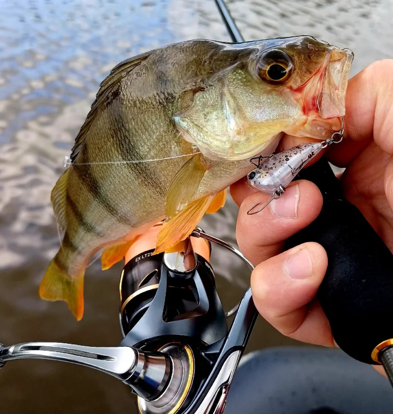 Kingdom Micro Expert Sinking Vibe Lure 2,6 g 3,5 g künstlicher harter Köder, lippenlos, schnelle Vibration, harte Wobbler zum Barschangeln – Detail 5