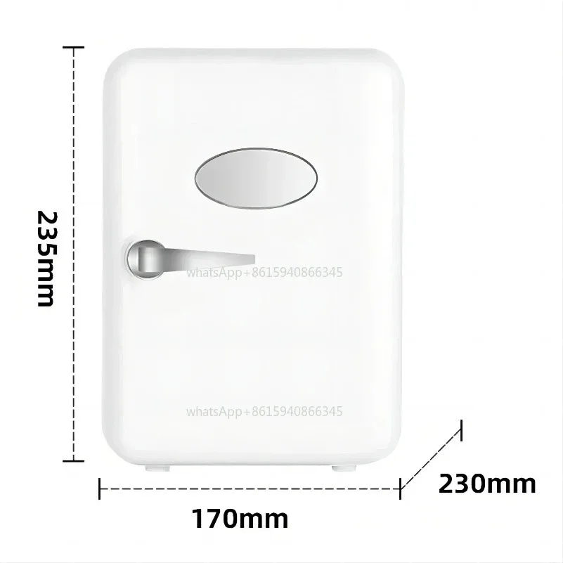 12V/110V/220V Mini Multifunction Refrigerator Cosmetics Mask Beverage Makeup Dormitory Freshness for Car Home