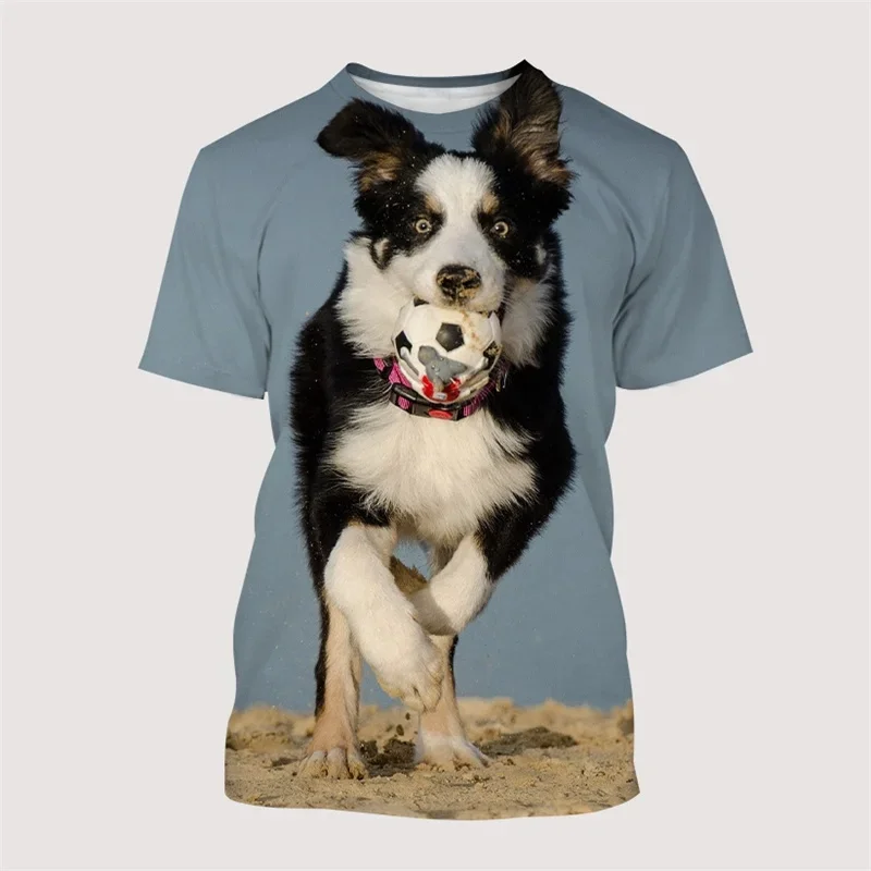 Animal Border Collie Graphic T Shirts Men Casual T-shirt Fashion 3D Printed Street Summer Tee Fashion Harajuku Short Sleeve Tops