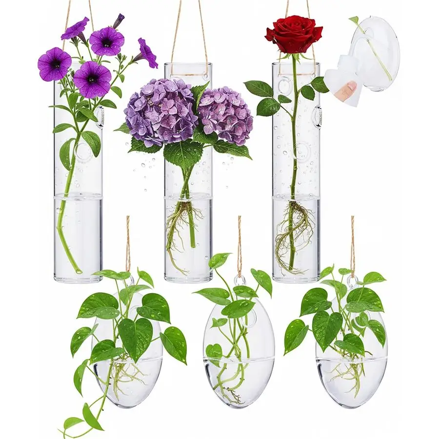 

6 Sets Wall Hanging Glass Planter Greenhouse Terrarium Propagation Station Wall Vase Container Watering Squeeze Bottle with Rope
