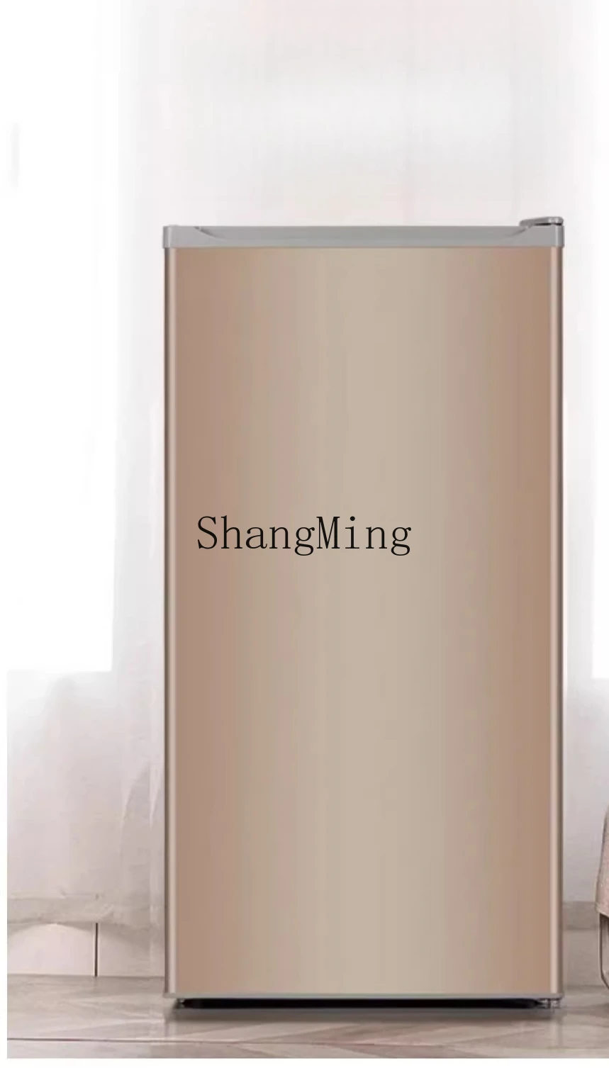 ZYY piccolo frigorifero congelato 180L congelatore a cassetto verticale piccolo risparmio energetico domestico