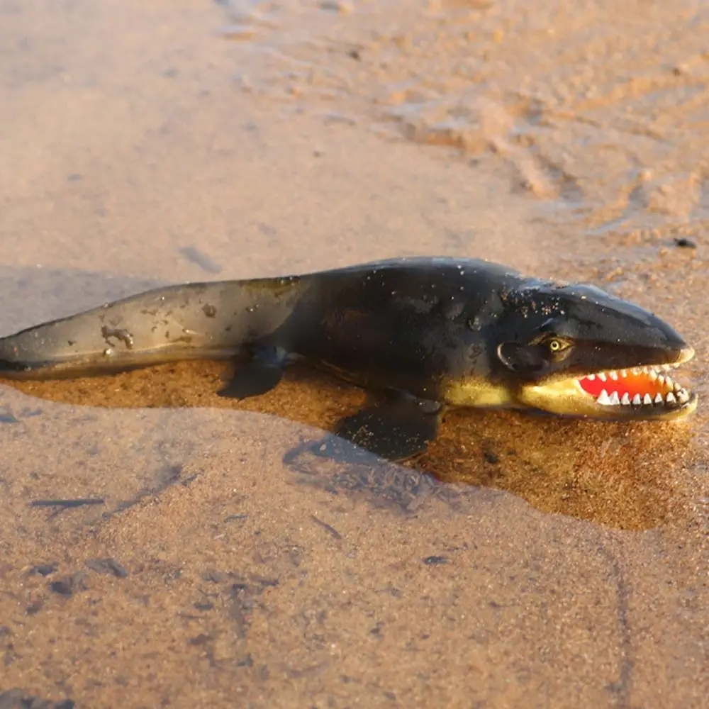 

Мягкий кальмар, сжимаемые морские животные, морская рыба, краб, модель, имитация морских животных, TPR, экшн-фигурки, модель морской жизни для детей