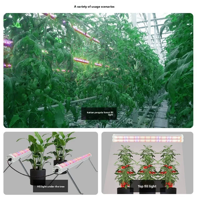 Plant Fill Light Tube 120W Tomato Cucumber Grape Strawberry Vegetable Greenhouse Pergola Planting Seedling Growth Light
