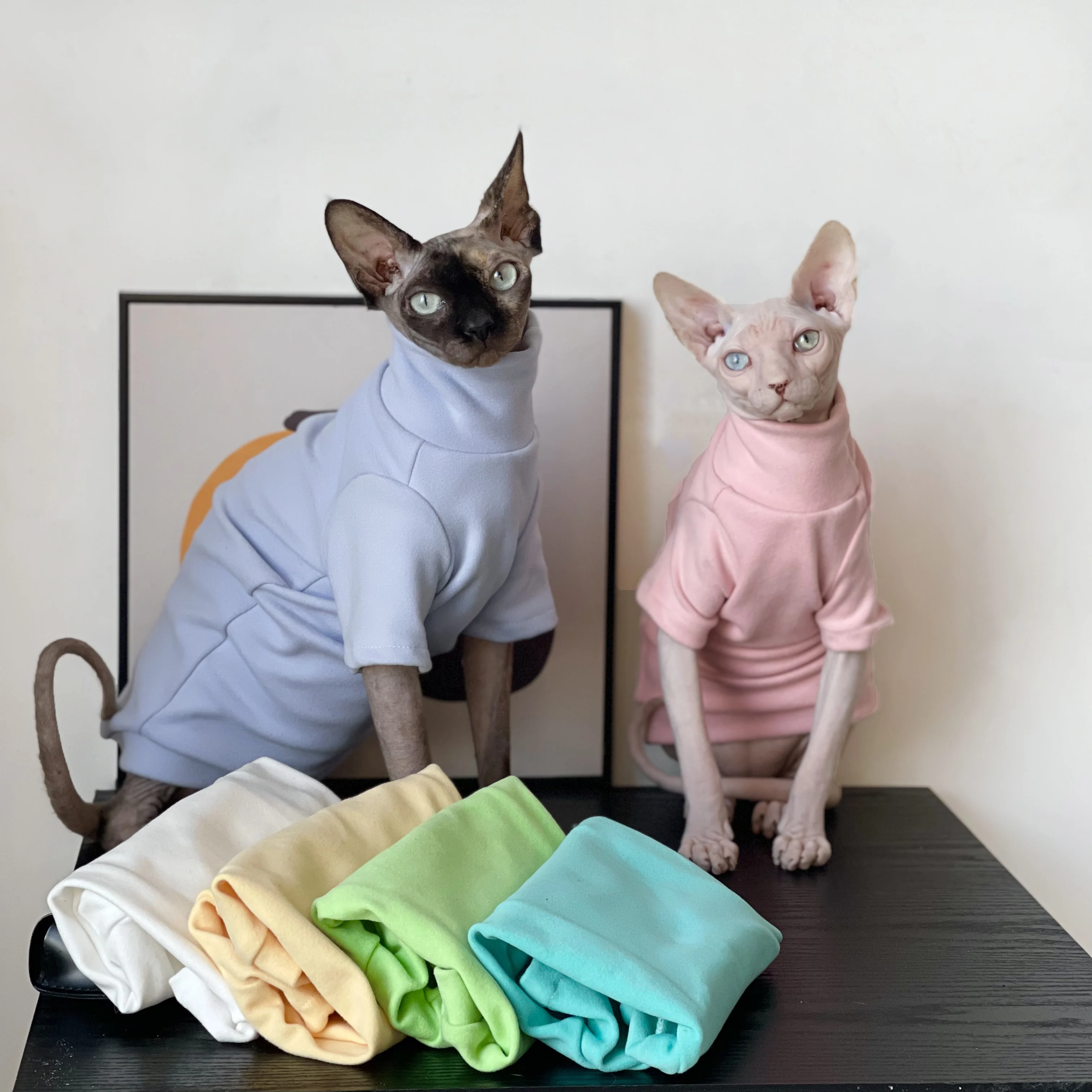 Colorful Cotton Coat for Sphynx Cat Warm Sweatshirt 2-legged Jumpsuit for Kittens Dogs soft Loungewear for Cat Devon Rex Sweater