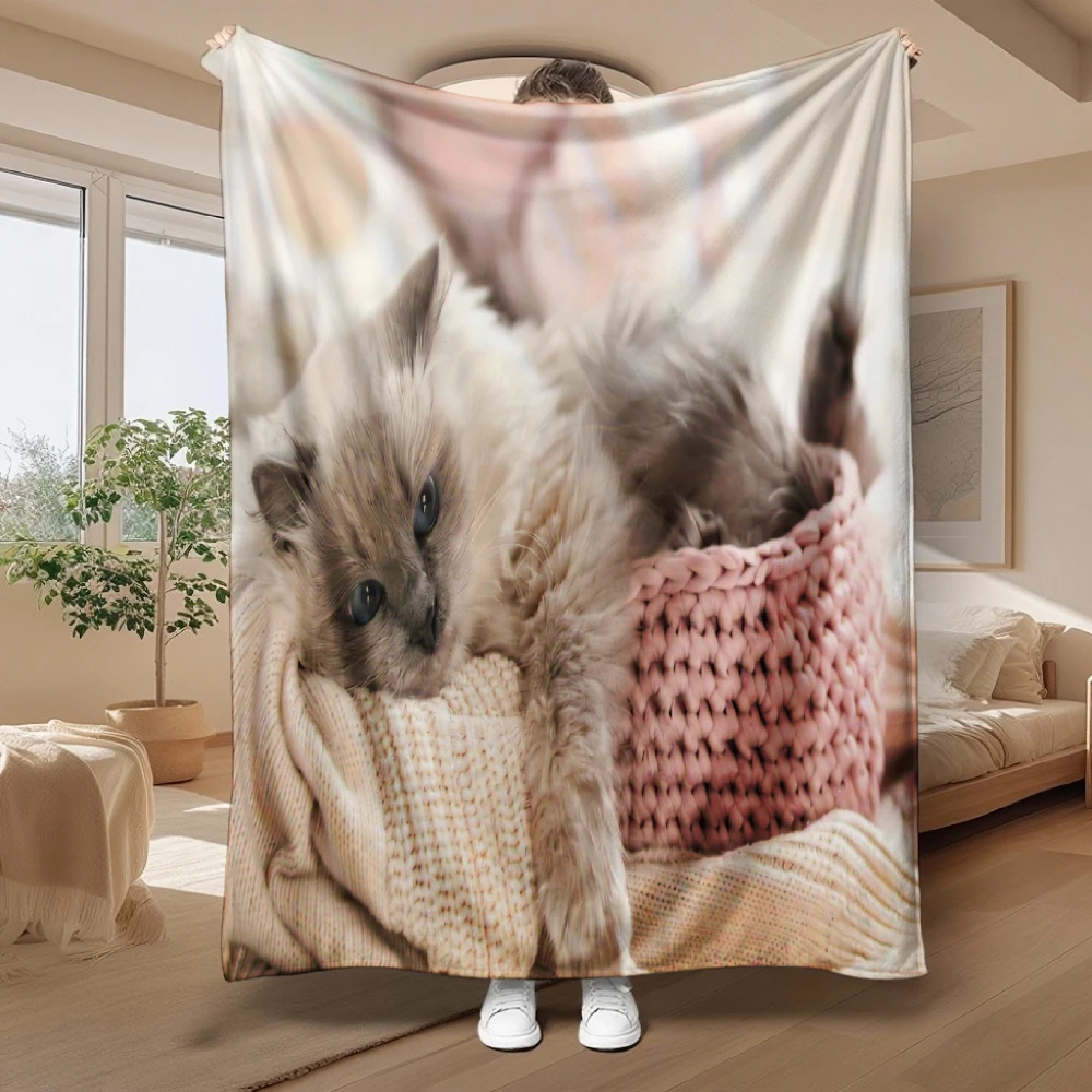 Adorable Kitten In Basket, Cat Lover Gift, Soft Fleece Blanket, Cozy Home Decor, Multi-Purpose Throw, Warm And Comfy