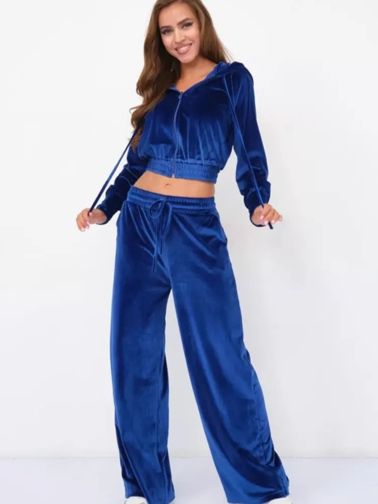 Mode casual damespak herfst winter tweedelige set lange mouw effen kleur fluwelen sweatshirt met capuchon en broek sportoutfits