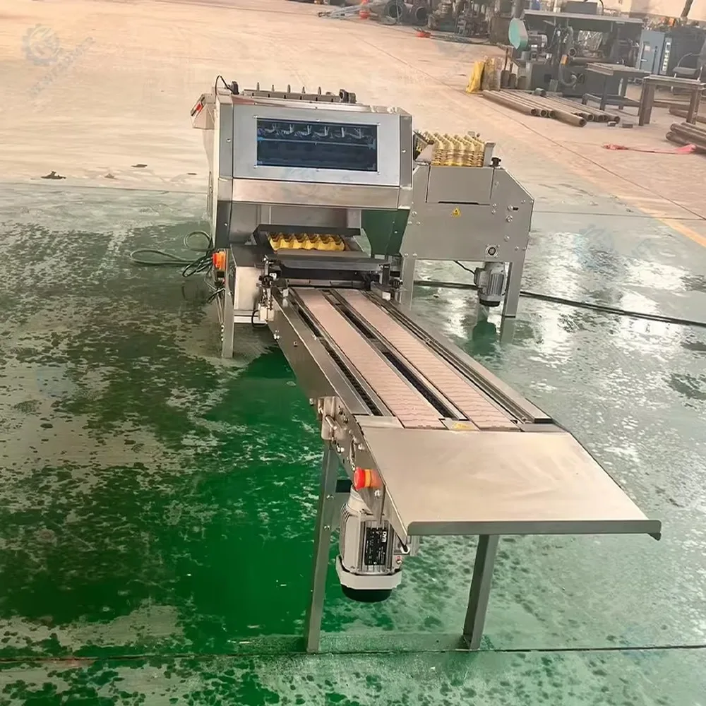Automated Egg Grading Packing Machine Food Grade 304 Stainless Steel Egg Tray Packer for Poultry Farms High Efficiency